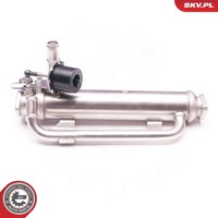 Esen SKV Agr-Ventil 14SKV126 FüR Audi Seat Skoda VW