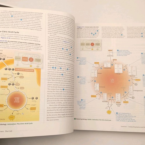Campbell Biology 12. Auflage Hardcover ISBN 9780135188743 - Bild 8 von 12