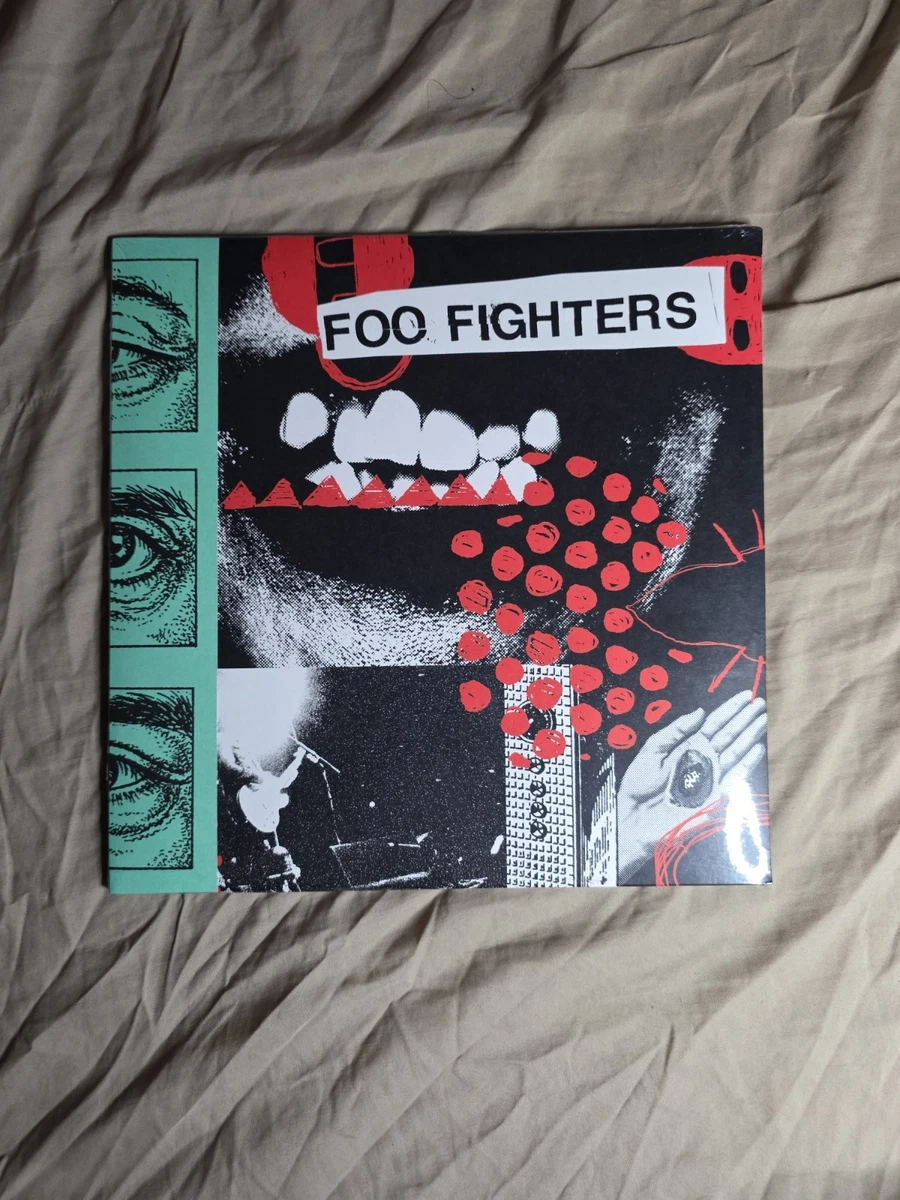 Foo Fighters 12
