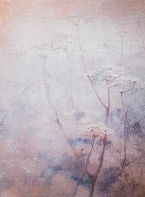 Silver Shadow Designer Printed AIDA Fabric. Canvas for embroidery with an app...