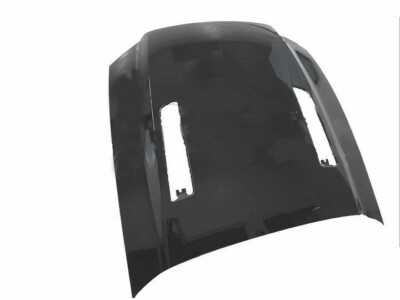 Motorhaube für Ford Mustang GT BOSS 2013-2014 Aluminium