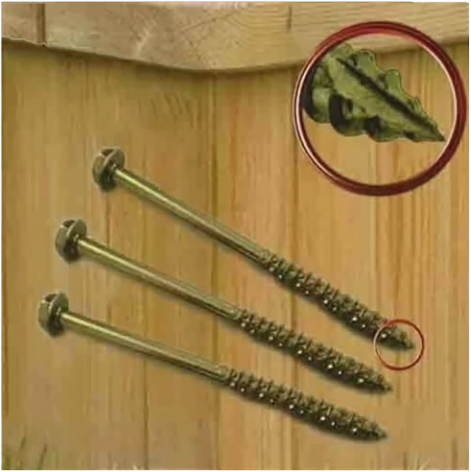 High Grade Carbon Steel Exterior Coach Screws Hexagon Head Extra Long