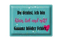 Blechschild Spruch 40X30Cm Du Denkst Ich Bin Klein Lieb