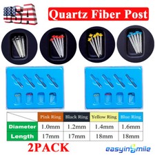 40Pc Dental Endo Fiber Posts Quartz root canal pins Resin Glass Screw Pile Posts