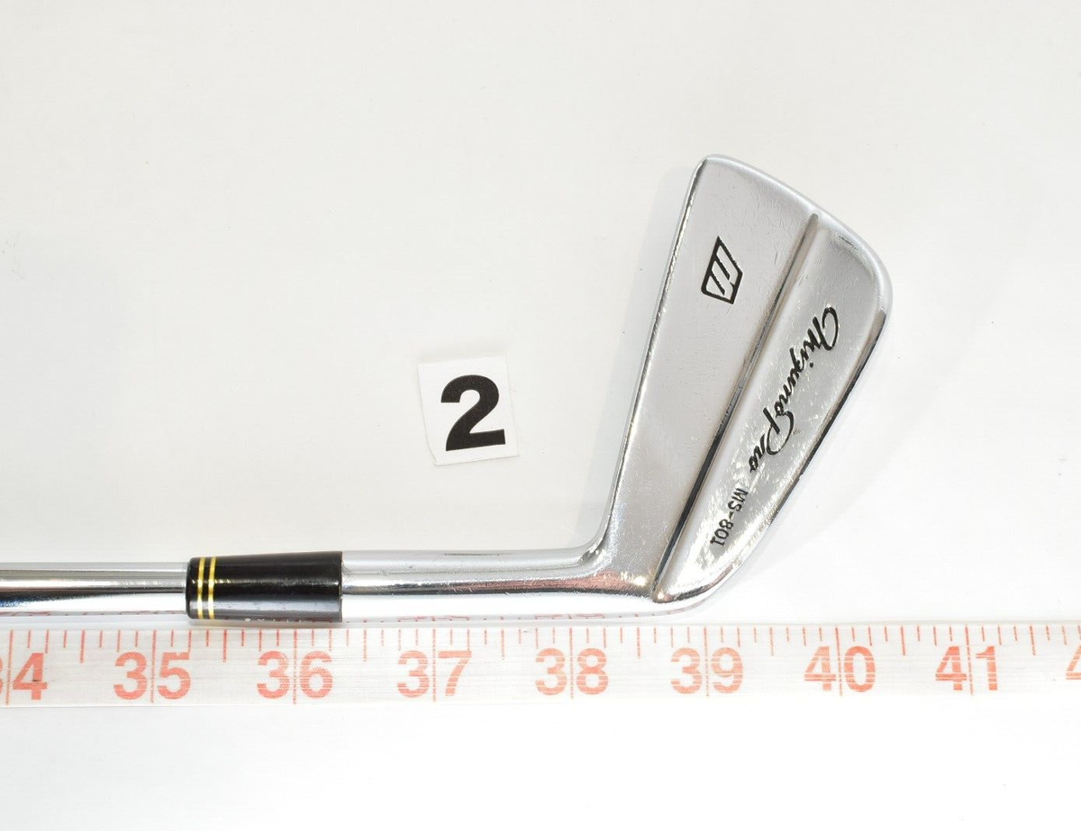 10p Mizuno Pro MS-801 2-3-4-5-6-7-8-9-PW-SW RH Golf Iron Set DG