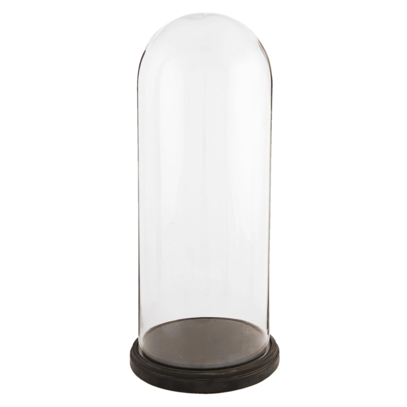 60cm Glass Display Bell Jar Oval Cloche on Dark Wood Base Display Stand
