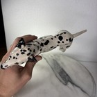 Foto 11 di 15