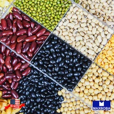 Fresh!! Bean Seeds Non-GMO Heirloom Vegetable