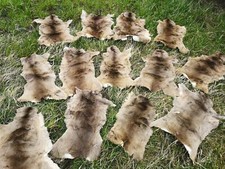 Rehfell Rehfelle Reh Fell Winterfell Rehdecke Larp Satteldecke Deko &Ouml;KO 2. Wahl
