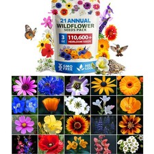 21 Varieties of Non-GMO Wildflower Seeds Mix for -Round Beauty & Pollinators