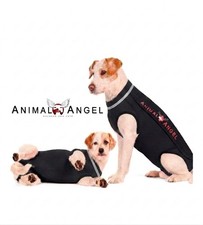 OP-Body für Hunde Kastration Sterilisation &...