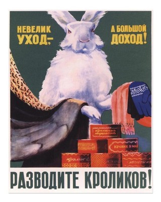 Vintage Rabbit Poster Wall Art - Unique Retro Design Premium Quality