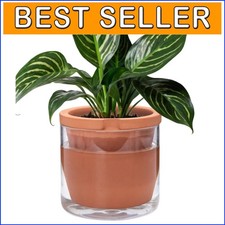 Handcrafted 8-Inch Terracotta Pot with Glass Cup - Self-Watering Indoor Planter=