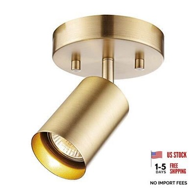  1-Light Track Spotlight, Matte Brass, Pivoting Head, Dimmable, Pratt (Brass)