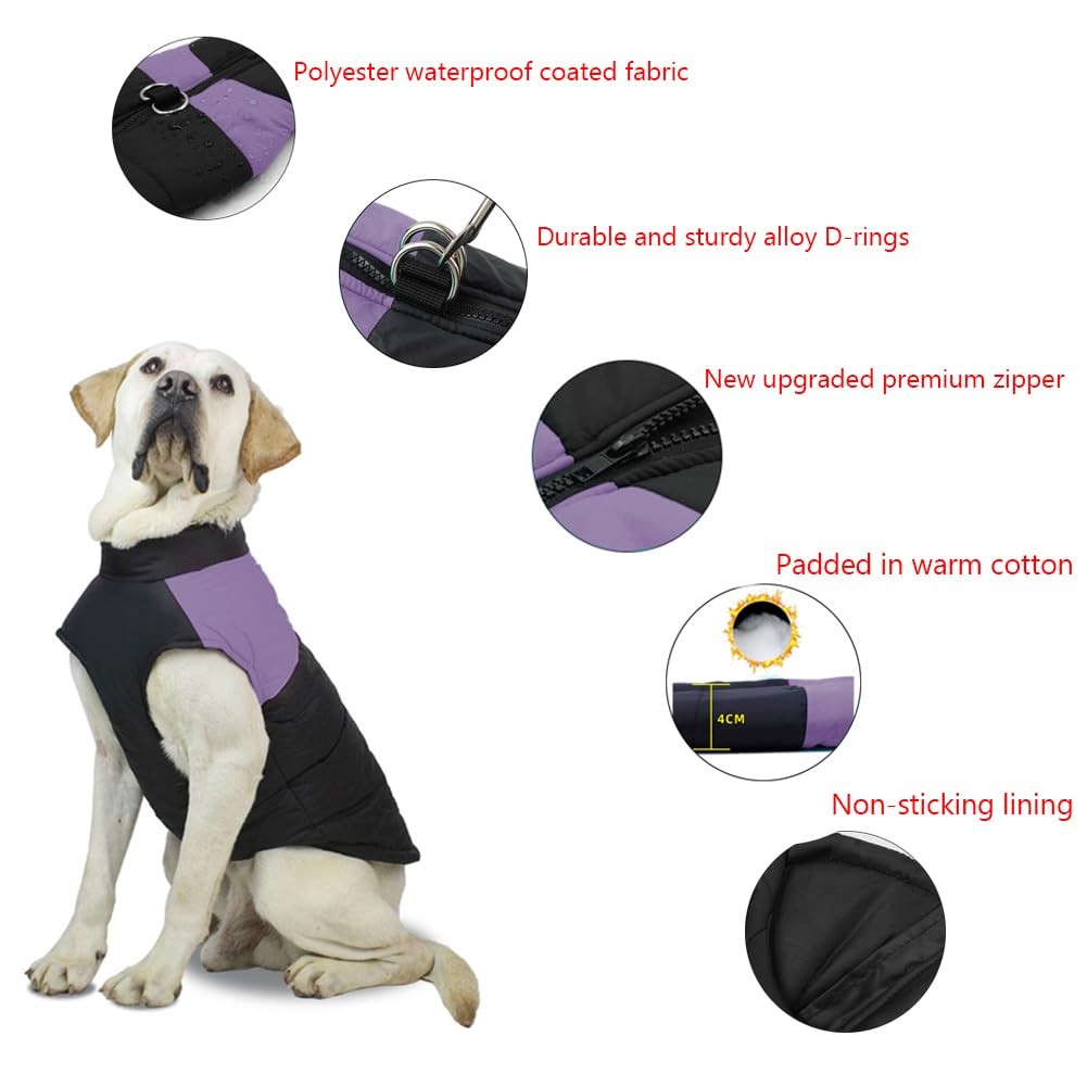Manteau pour chien d'hiver imperméable idéal pour les balades sous la pluie - 3