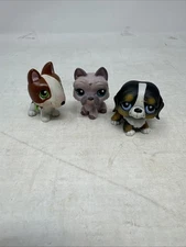 3pcs/lot Littlest pet shop Dogs Toys bobble head From 2004, 2005, 2006