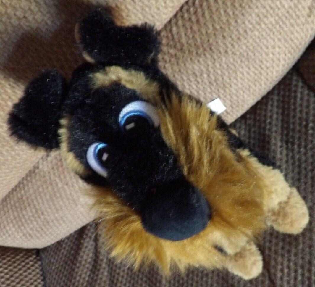 Pet Friendly Amtrak Pet Shipping The 10 Best Airline-Approved Pet