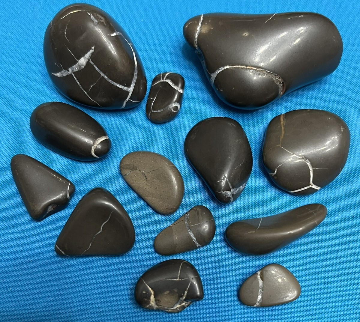 SS Lightning stonesさん Lake Michigan Lightning Stones - Freshly Polished - 6.93 Oz