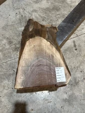 Black Walnut Slab #1837, live edge slab, unfinished, free shipping