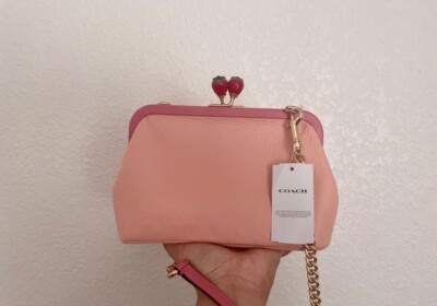NWT Coach Nora Kisslock Crossbody With Strawberry C8401 | eBay
