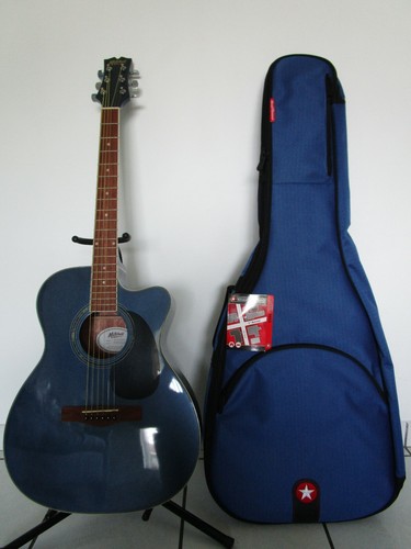 BOLSA DE MITCHELL AUDITORIUM ACÚSTICO-ELÉCTRICA GUITARRA AZUL CREPÚSCULO METÁLICA Y RR RR 656238051361 |