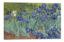 Kunstdruck Vincent van Gogh - Schwertlilien (1889)