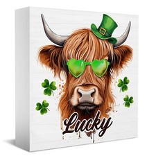 Irish Lucky Highland Cow Wooden Box Sign St Patricks Day Home Desktop Decoration