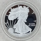 2011-W Proof American Silver Eagle Dollar US Mint $1 with Capsule