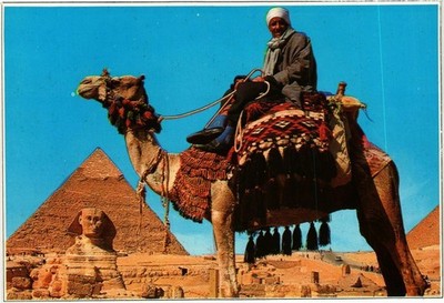 CPM Gizeh Kameltreiber in der Nähe der Sphinx und Khafre Pyramide ÄGYPTEN (852798)
