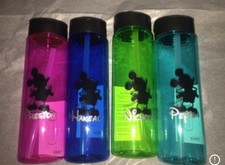 Disney Cruise Line or Disney world Or Disneyland Customized Water bottles