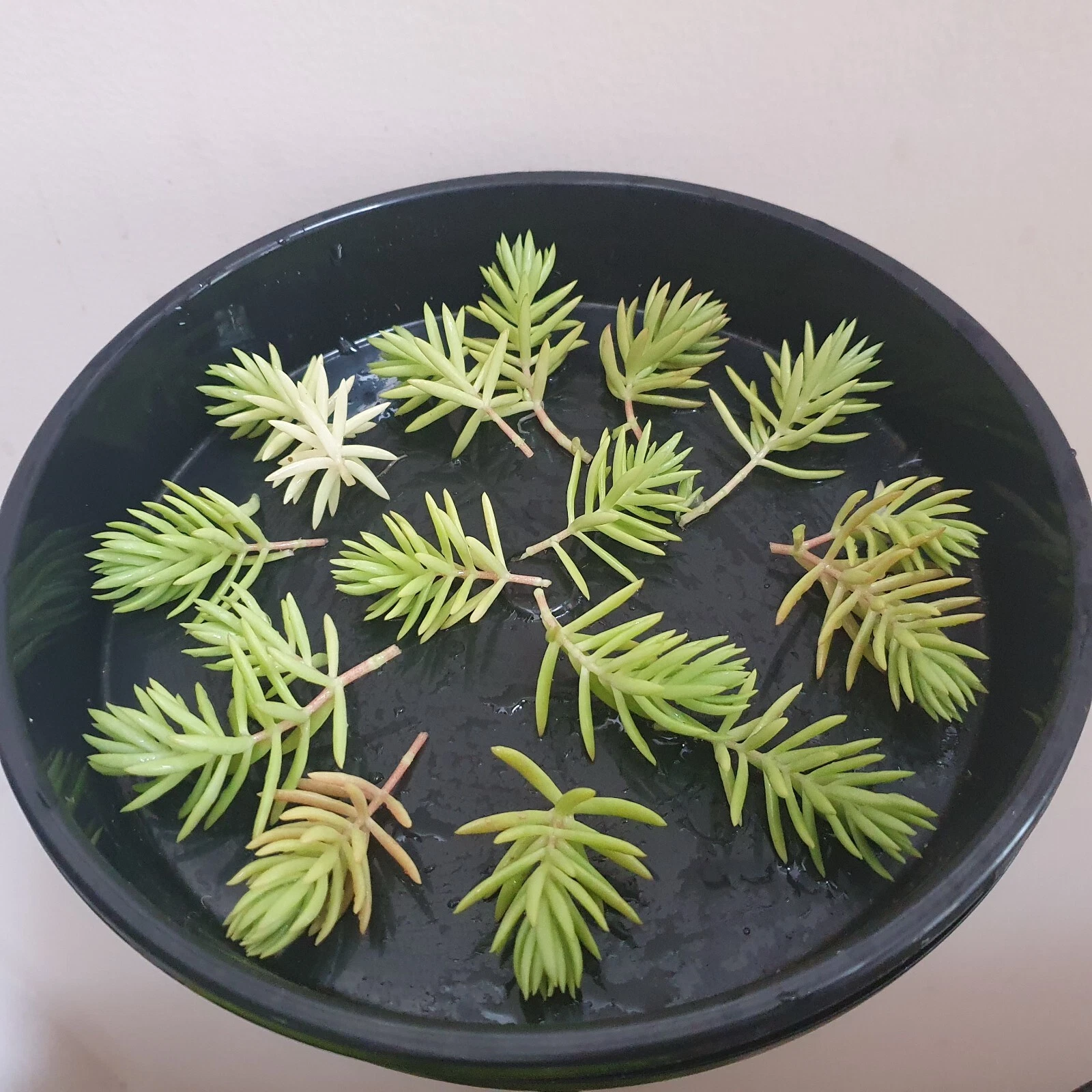 Picture 19 of 26