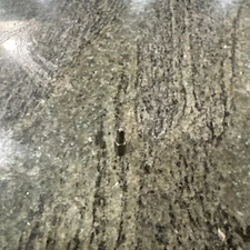 snap on sdm222cz #2 Phillips limited clearance 1/4” hex shank bit