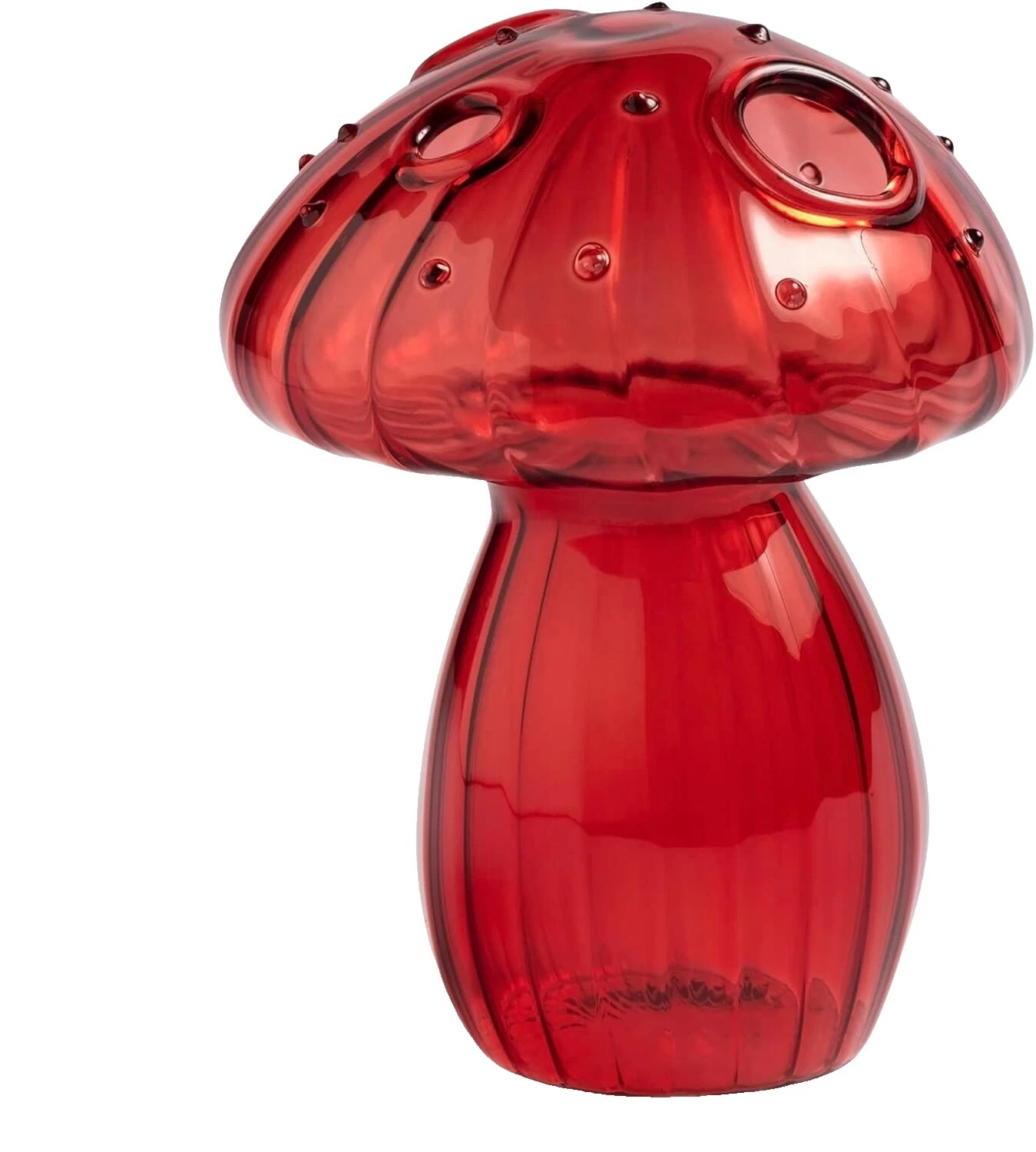 Jarrones país francés