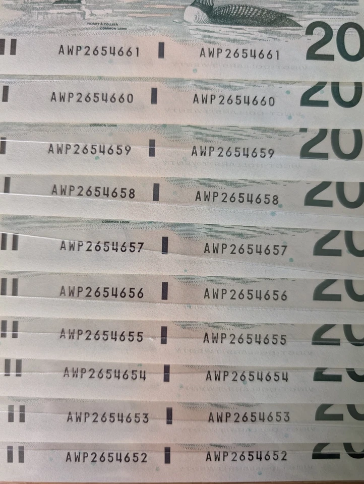 10 Sequential 1991 Canadian $20 Bills – Birds of Canada Series –... Foto 2 de 4