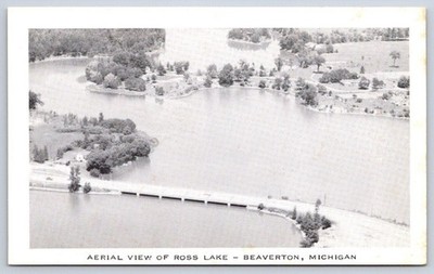 Vintage Michigan Postcard BEAVERTON Ross Lake Aerial View 1950s