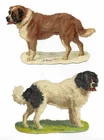 K28 - NEWFOUNDLAND & ST BERNARD DOGS. 6.25in (16cm) wide DIECUT VICTORIAN SCRAPS