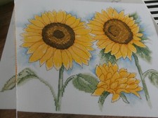 SŁONECZNIKI WYKRES ŚCIEGU KRZYŻYKOWEGO#53