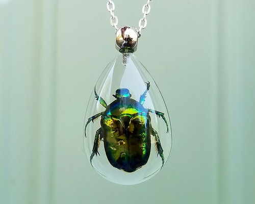 Real Chafer Beetle in Resin Necklace, Insects Jewelry, Oddities, Cetonia Aurata - Picture 2 of 6