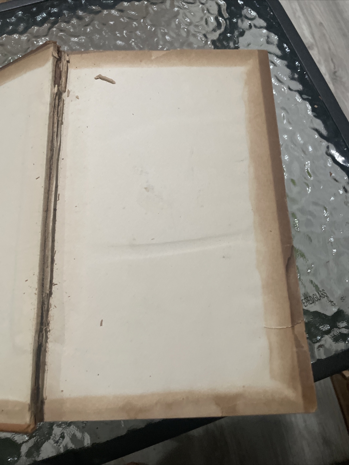 Picture 5 of 12