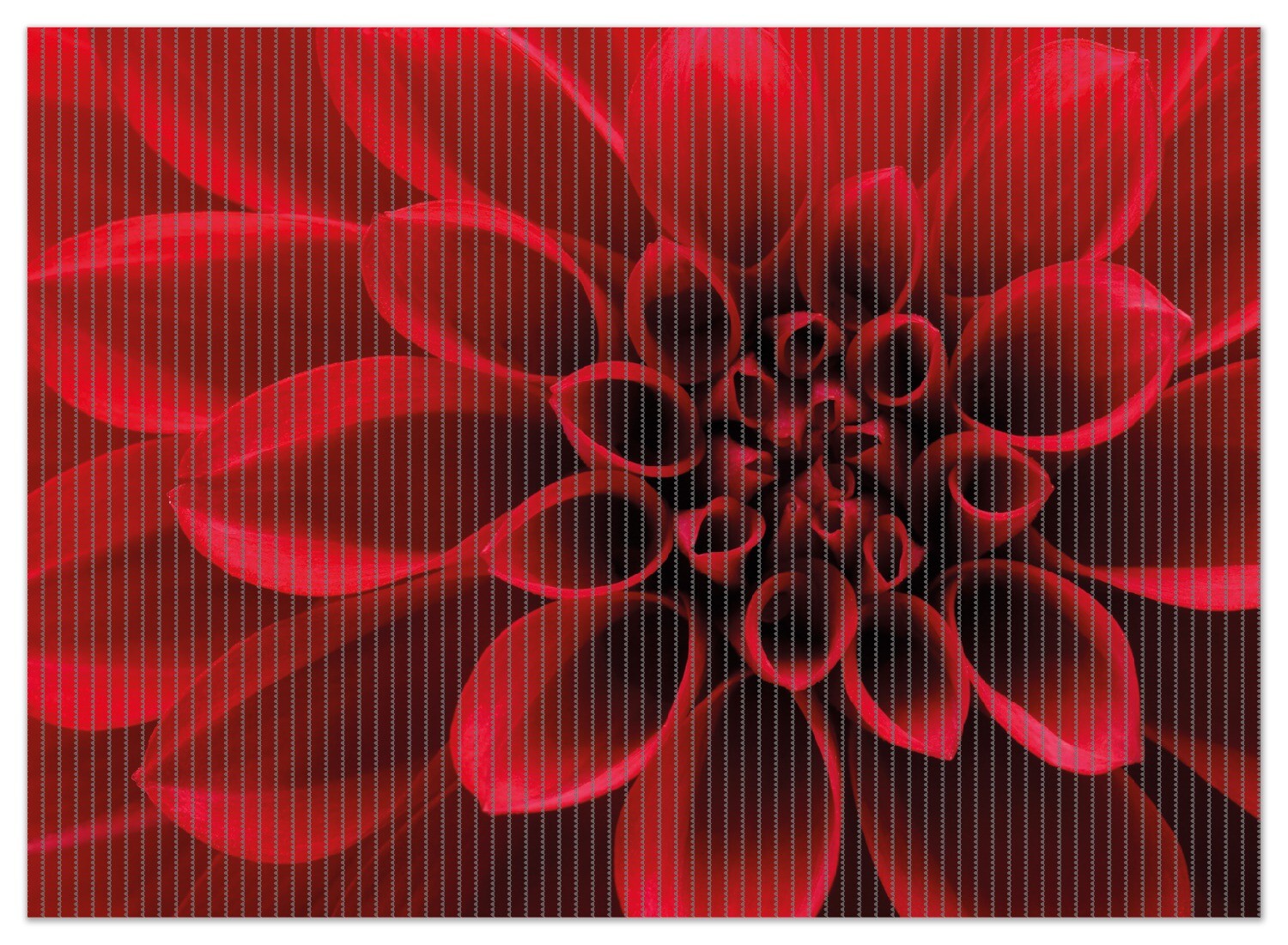 Bild 8 von 10