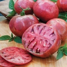 75 CHEROKEE PURPLE Beefsteak Tomato Seeds Non-GMO Heirloom Free Shipping