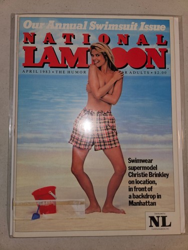 National Lampoon (February 1982 to August 1993) 19 Straight Issues, Full Lot Set - Picture 16 of 20