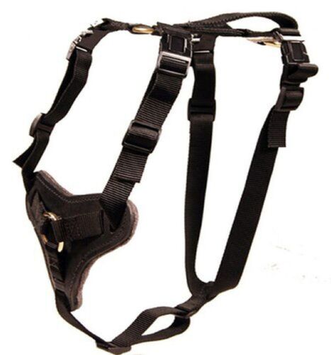 Nylon and Leather Working Dog Harness for Protection And Tracking - Redline K9 - 第 1/4 張圖片