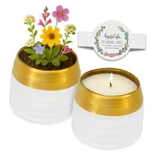  - The Growing Candle Scented Aromatherapy Candles, 10oz Pot, 100% Clara Lilac