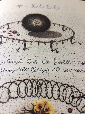 【奇書】 Codex Seraphinianus Luigi Serafini 81VCMZnUzDL._AC_UF350,