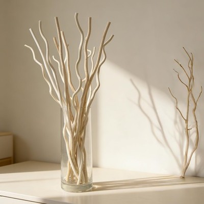15 PCS Dried Birch Twigs 17 Inch Natural Branches For Vases DIY Decor