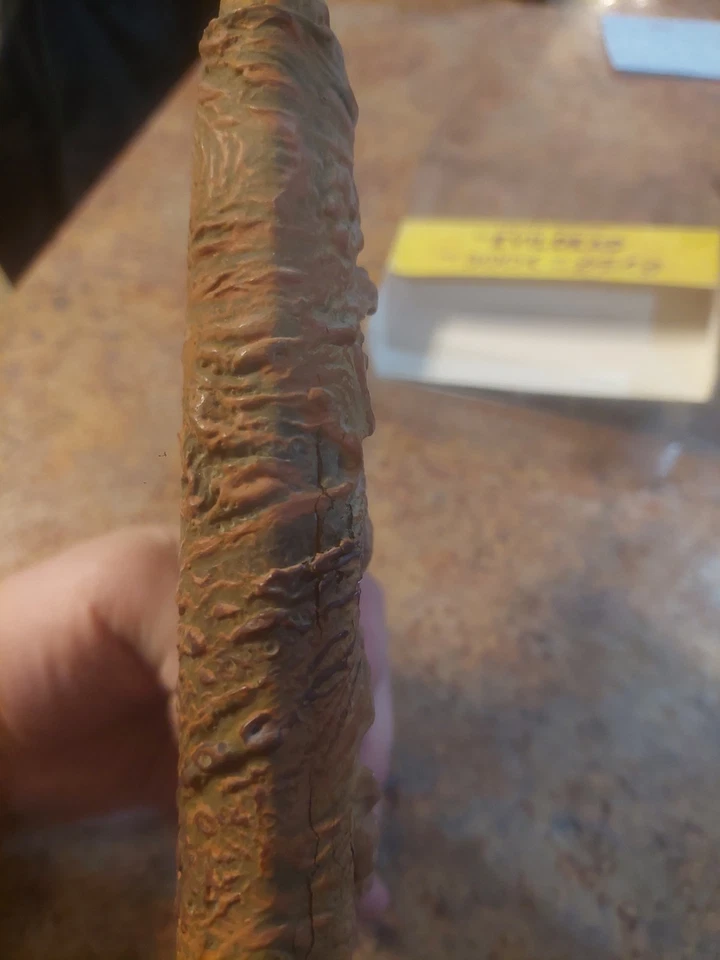 The Evil Dead Limited Edition DVD The Book Of The Dead - Image 3 of 4