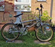 eBay Auction Picture