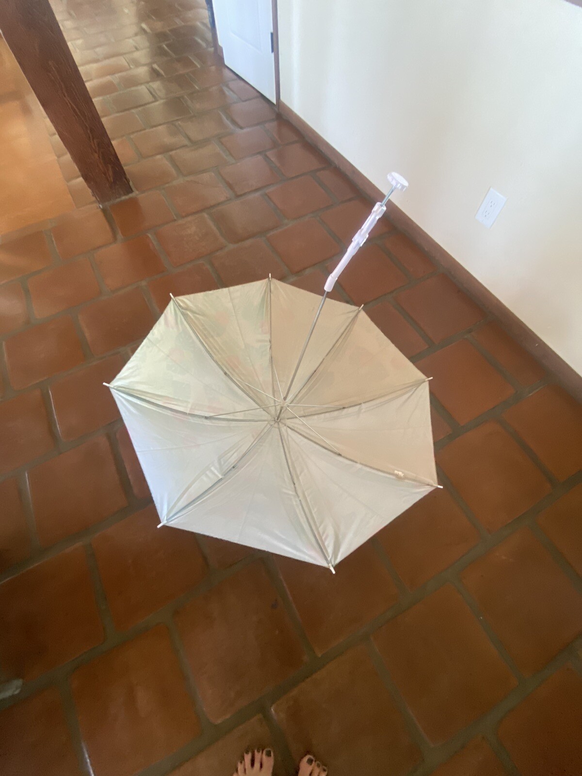 Picture 4 of 6