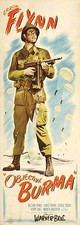 OBJECTIVE BURMA Movie POSTER 14x36 Insert